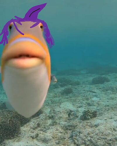 marina fishe