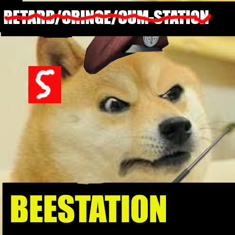 beestation doge2